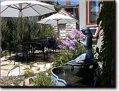 The Garden